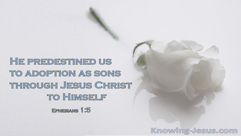 Ephesians 1:5 God Predestined Us To Adoption As Sons (white)